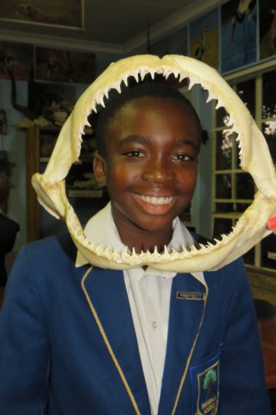 Senior Preparatory IMAGE 3